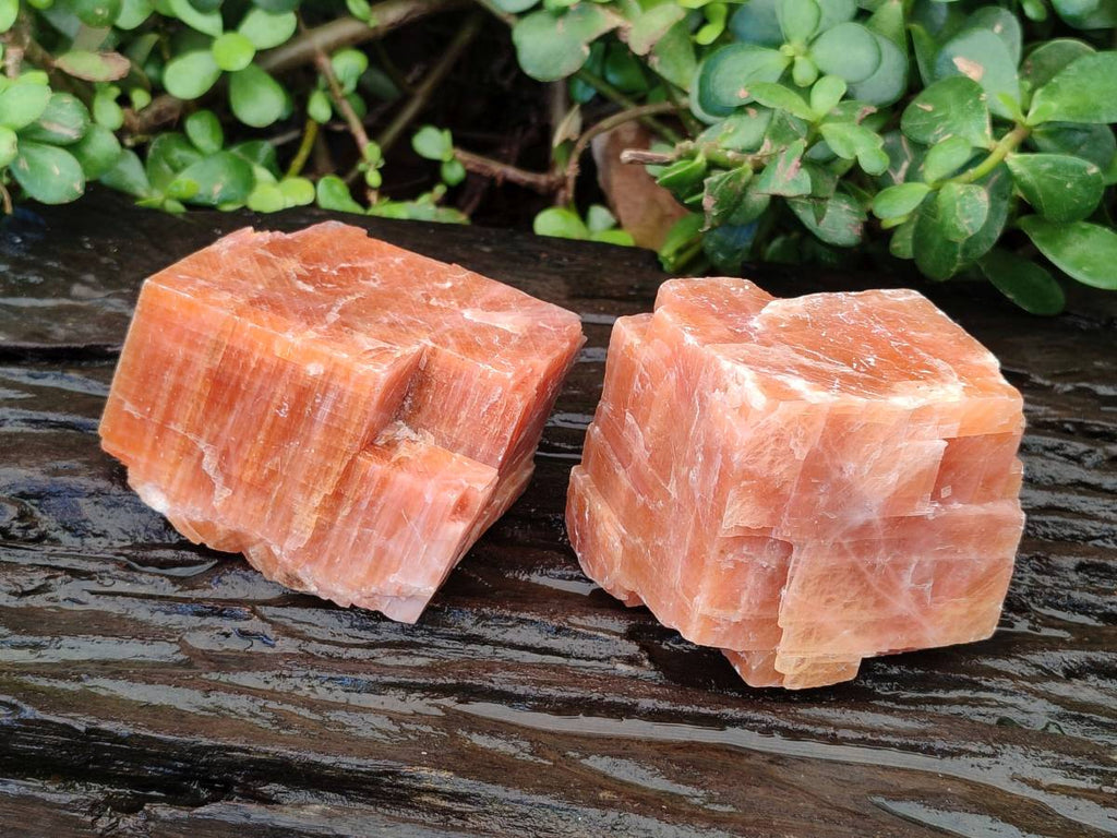 Natural Sunset Orange Calcite Specimens x 4 From Spitzkop, Namibia - Toprock Gemstones and Minerals 
