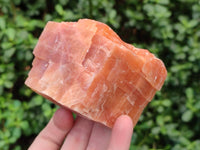 Natural Sunset Orange Calcite Specimens x 4 From Spitzkop, Namibia
