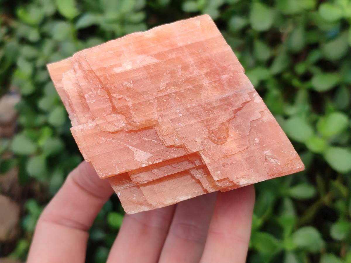 Natural Sunset Orange Calcite Specimens x 4 From Spitzkop, Namibia - Toprock Gemstones and Minerals 