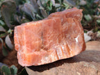 Natural Sunset Orange Calcite Specimens x 4 From Spitzkop, Namibia - Toprock Gemstones and Minerals 