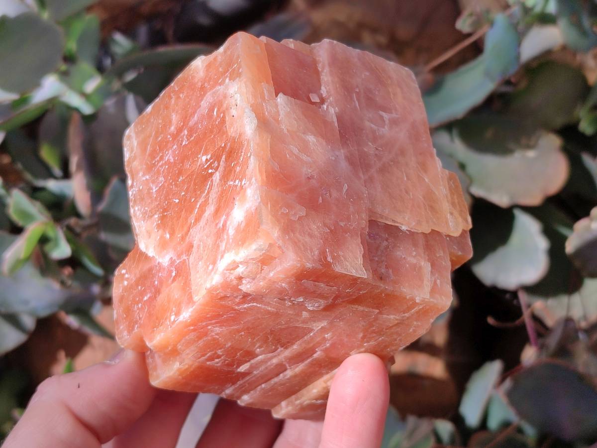 Natural Sunset Orange Calcite Specimens x 4 From Spitzkop, Namibia - Toprock Gemstones and Minerals 