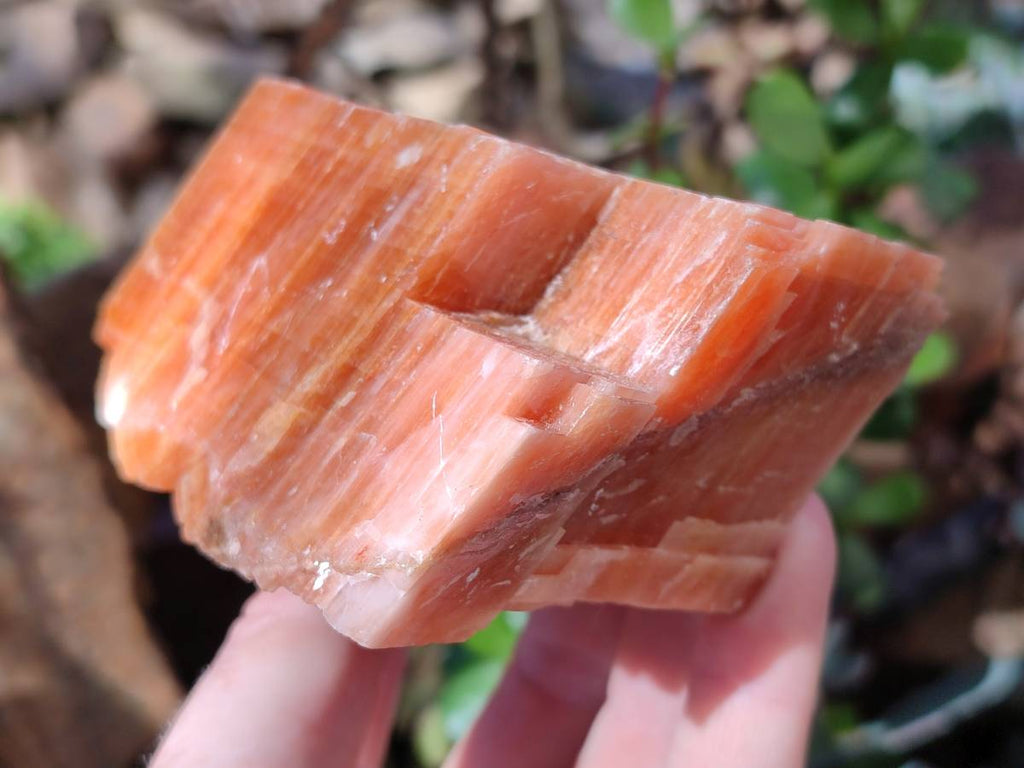 Natural Sunset Orange Calcite Specimens x 4 From Spitzkop, Namibia - Toprock Gemstones and Minerals 