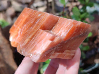 Natural Sunset Orange Calcite Specimens x 4 From Spitzkop, Namibia