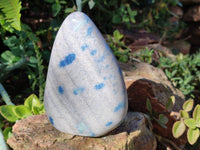 Polished Blue Spinel Spotted Standing Free Forms x 2 From Madagascar
