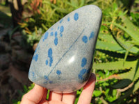 Polished Blue Spinel Spotted Standing Free Forms x 2 From Madagascar