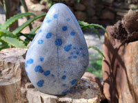 Polished Blue Spinel Spotted Standing Free Forms x 2 From Madagascar