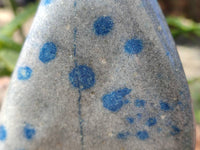 Polished Blue Spinel Spotted Standing Free Forms x 2 From Madagascar