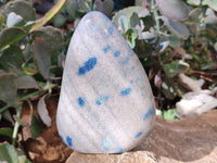 Polished Blue Spinel Spotted Standing Free Forms x 2 From Madagascar