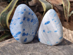 Polished Blue Spinel Spotted Standing Free Forms x 2 From Madagascar - Toprock Gemstones and Minerals 