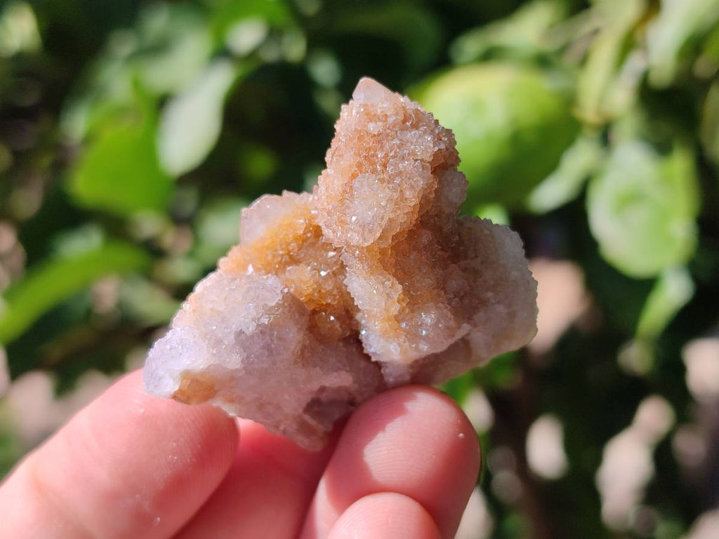 Natural Spirit Quartz Crystals x 70 From Boekenhouthoek, South Africa - Toprock Gemstones and Minerals 