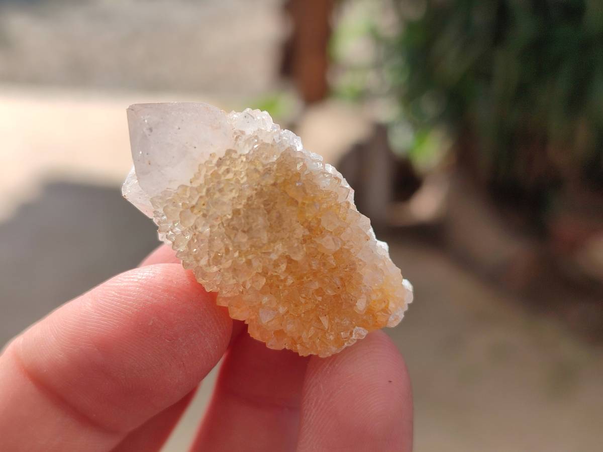 Natural Spirit Quartz Crystals x 70 From Boekenhouthoek, South Africa - Toprock Gemstones and Minerals 