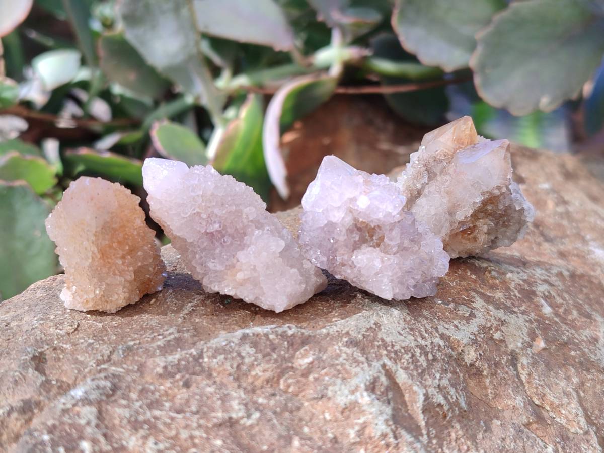 Natural Spirit Quartz Crystals x 70 From Boekenhouthoek, South Africa - Toprock Gemstones and Minerals 