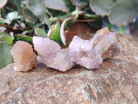 Natural Spirit Quartz Crystals x 70 From Boekenhouthoek, South Africa