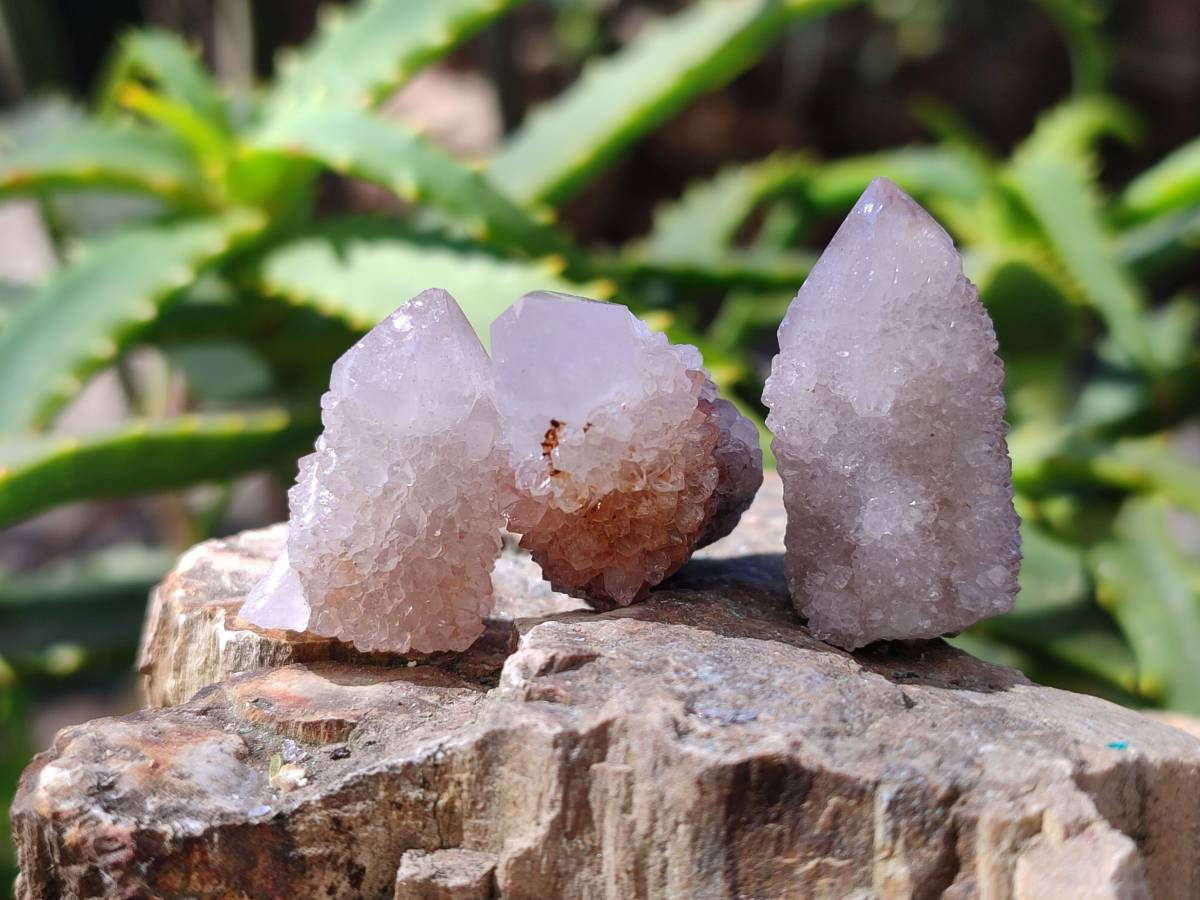 Natural Spirit Quartz Crystals x 70 From Boekenhouthoek, South Africa - Toprock Gemstones and Minerals 