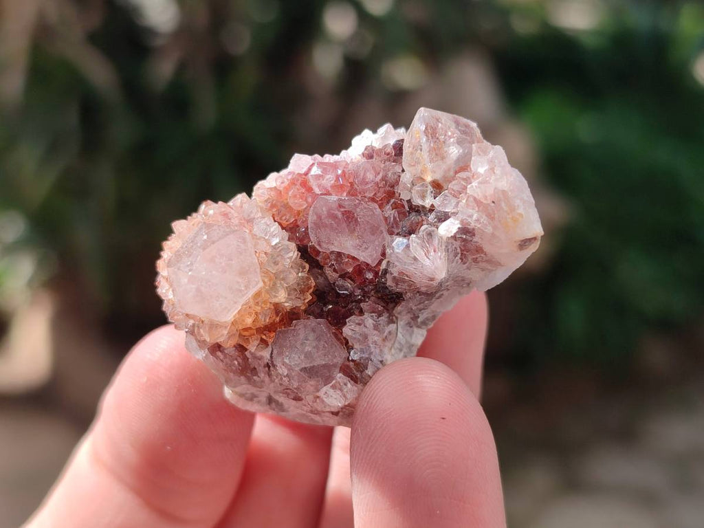 Natural Spirit Quartz Crystals x 70 From Boekenhouthoek, South Africa - Toprock Gemstones and Minerals 