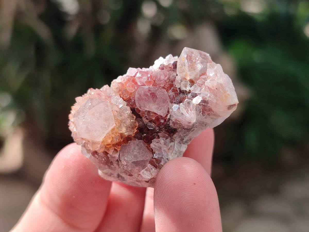 Natural Spirit Quartz Crystals x 70 From Boekenhouthoek, South Africa - Toprock Gemstones and Minerals 