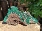 Natural Ball Malachite and Drusi Quartz On Dolomite Matrix Specimens x 2 From Kambove, Congo - Toprock Gemstones and Minerals 