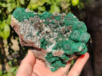 Natural Ball Malachite and Drusi Quartz On Dolomite Matrix Specimens x 2 From Kambove, Congo