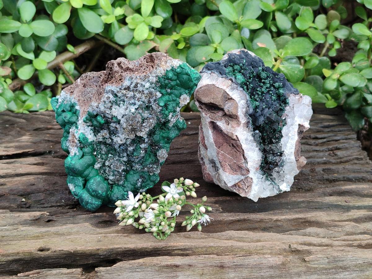 Natural Ball Malachite and Drusi Quartz On Dolomite Matrix Specimens x 2 From Kambove, Congo - Toprock Gemstones and Minerals 