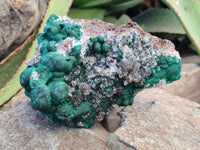 Natural Ball Malachite and Drusi Quartz On Dolomite Matrix Specimens x 2 From Kambove, Congo