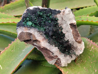 Natural Ball Malachite and Drusi Quartz On Dolomite Matrix Specimens x 2 From Kambove, Congo