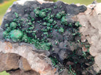 Natural Ball Malachite and Drusi Quartz On Dolomite Matrix Specimens x 2 From Kambove, Congo - Toprock Gemstones and Minerals 