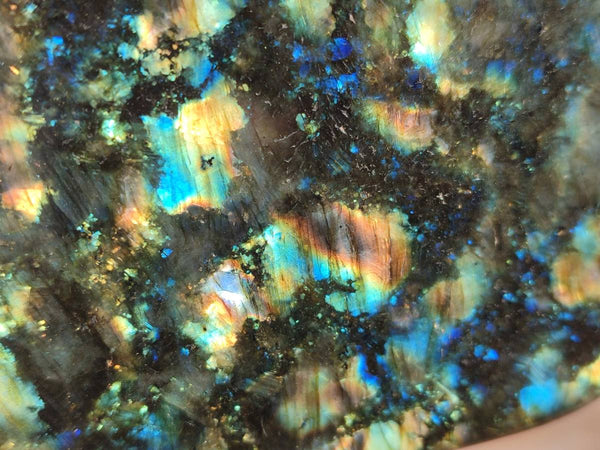 Polished Labradorite Standing Free Form x 1 From Tulear, Madagascar
