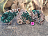 Natural Ball Malachite and Drusi Quartz On Dolomite Matrix Specimens x 3 From Kambove, Congo