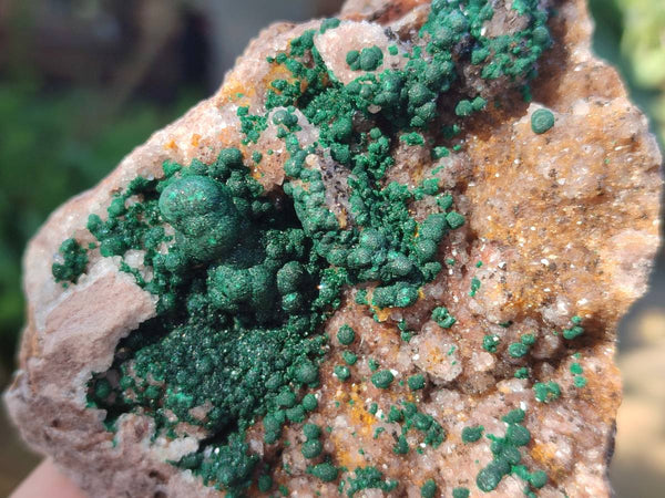 Natural Ball Malachite and Drusi Quartz On Dolomite Matrix Specimens x 3 From Kambove, Congo