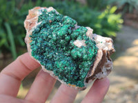 Natural Ball Malachite and Drusi Quartz On Dolomite Matrix Specimens x 3 From Kambove, Congo