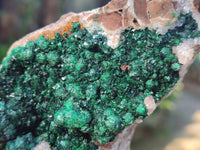 Natural Ball Malachite and Drusi Quartz On Dolomite Matrix Specimens x 3 From Kambove, Congo