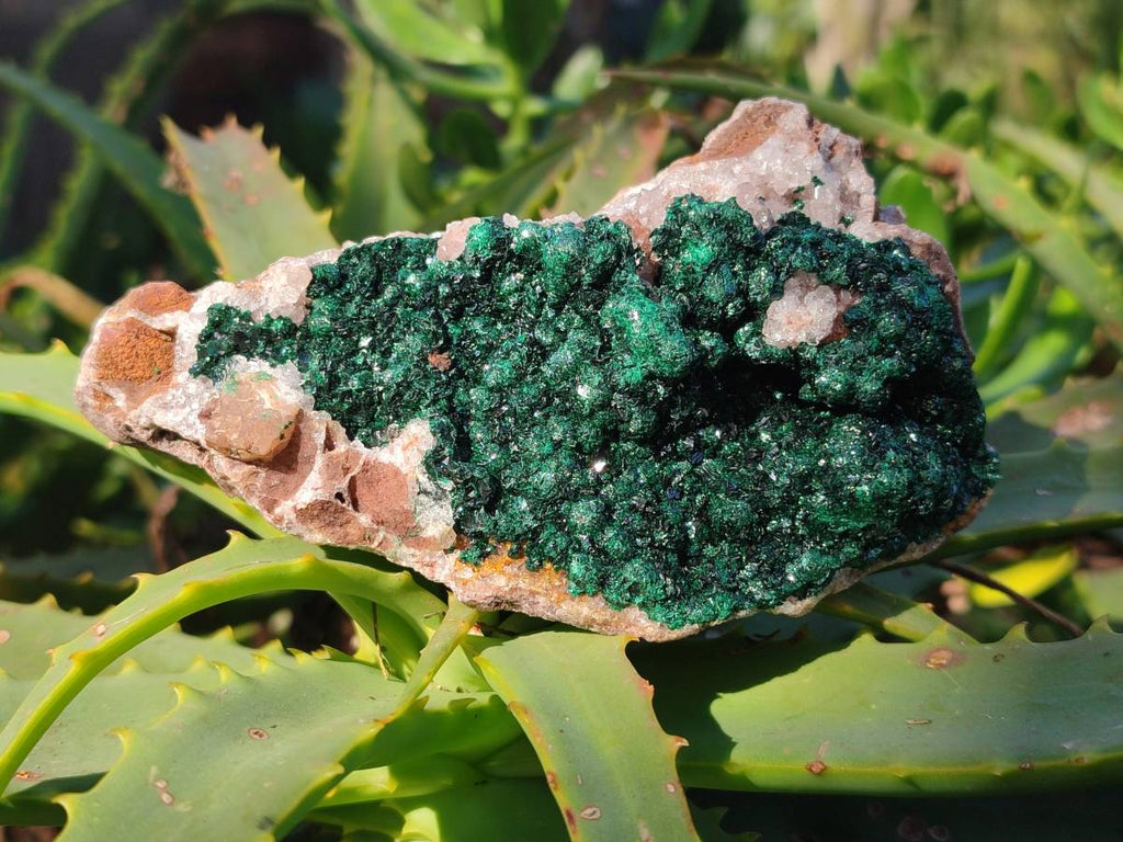 Natural Silky Ball Malachite and Drusy Quartz on Dolomite Specimens x 3 From Mindingi Mine, Kambove, Congo