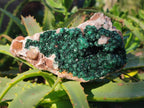 Natural Silky Ball Malachite and Drusy Quartz on Dolomite Specimens x 3 From Mindingi Mine, Kambove, Congo