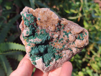 Natural Ball Malachite and Drusi Quartz On Dolomite Matrix Specimens x 3 From Kambove, Congo