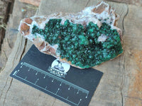 Natural Ball Malachite and Drusi Quartz On Dolomite Matrix Specimens x 3 From Kambove, Congo