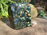 Polished Labradorite Standing Free Form x 1 From Tulear, Madagascar - Toprock Gemstones and Minerals 