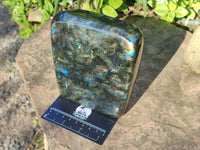 Polished Labradorite Standing Free Form x 1 From Tulear, Madagascar - Toprock Gemstones and Minerals 