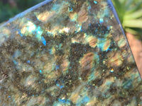 Polished Labradorite Standing Free Form x 1 From Tulear, Madagascar - Toprock Gemstones and Minerals 