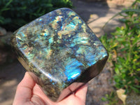 Polished Labradorite Standing Free Form x 1 From Tulear, Madagascar - Toprock Gemstones and Minerals 