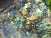 Polished Labradorite Standing Free Form x 1 From Tulear, Madagascar - Toprock Gemstones and Minerals 