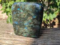 Polished Labradorite Standing Free Form x 1 From Tulear, Madagascar - Toprock Gemstones and Minerals 