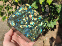 Polished Labradorite Standing Free Form x 1 From Tulear, Madagascar - Toprock Gemstones and Minerals 