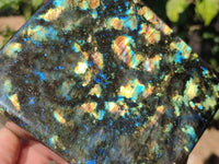Polished Labradorite Standing Free Form x 1 From Tulear, Madagascar - Toprock Gemstones and Minerals 