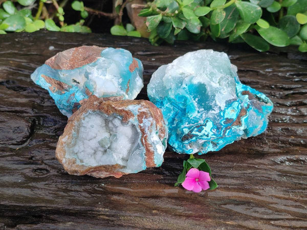 Natural Drusy Coated Chrysocolla With Hemimorphite and Malachite Specimens x 3 From Congo