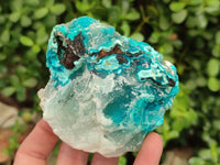 Natural Drusy Coated Chrysocolla With Hemimorphite and Malachite Specimens x 3 From Congo