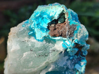 Natural Drusy Coated Chrysocolla With Hemimorphite and Malachite Specimens x 3 From Congo