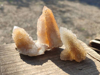 Natural Golden Limonite Coated Spirit Quartz Clusters x 35 From Boekenhouthoek, South Africa