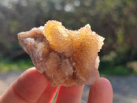 Natural Golden Limonite Coated Spirit Quartz Clusters x 35 From Boekenhouthoek, South Africa