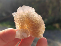 Natural Golden Limonite Coated Spirit Quartz Clusters x 35 From Boekenhouthoek, South Africa
