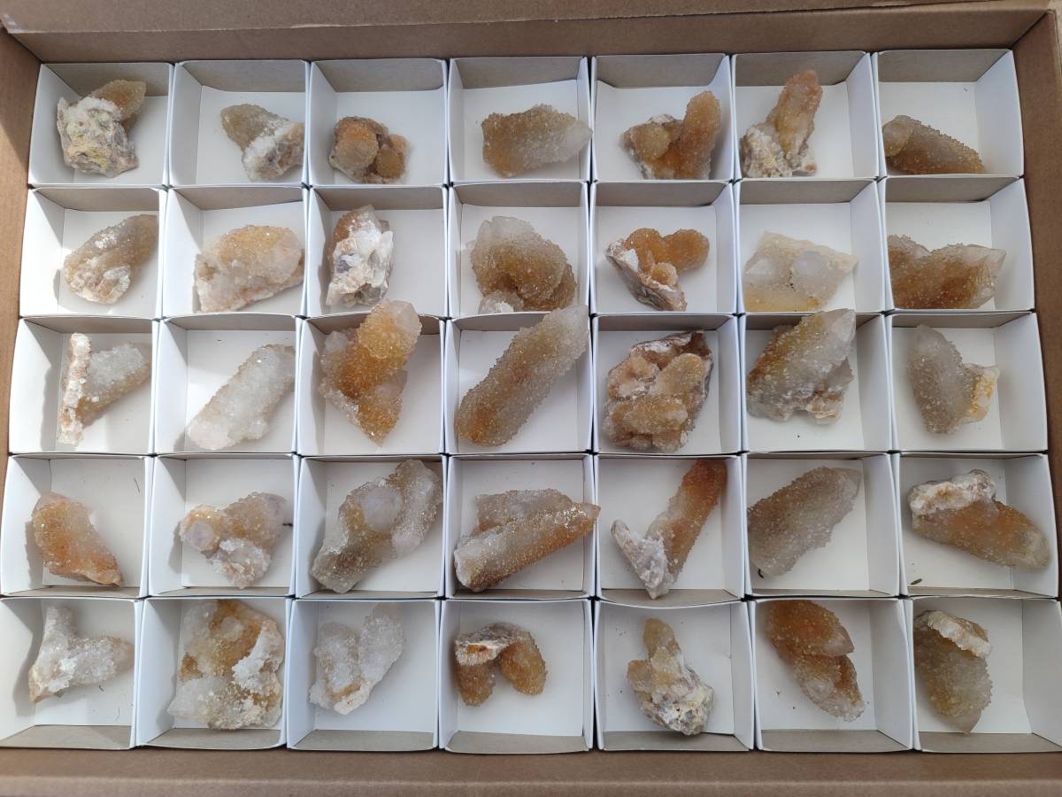 Natural Golden Limonite Coated Spirit Quartz Clusters x 35 From Boekenhouthoek, South Africa - Toprock Gemstones and Minerals 